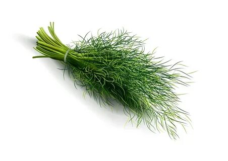 تصویر 3 از فروش شوید خشک درجه یک